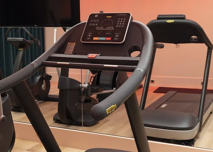 巴黎克莱贝尔维克多雨果酒店 4* 巴黎